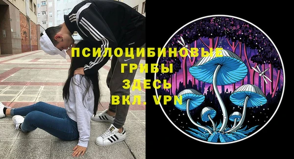 стаф Гусь-Хрустальный