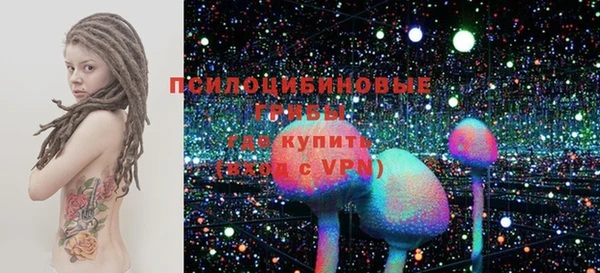 стаф Гусь-Хрустальный
