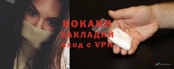 стаф Гусь-Хрустальный