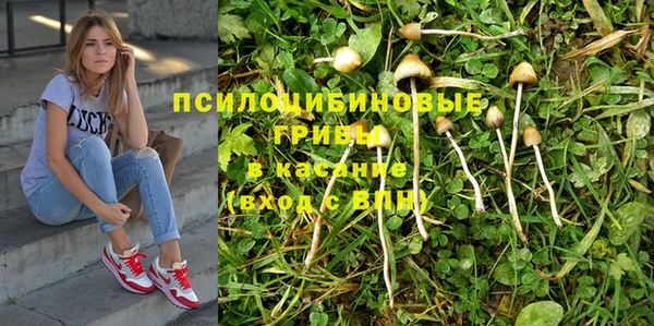 jwh Гусиноозёрск