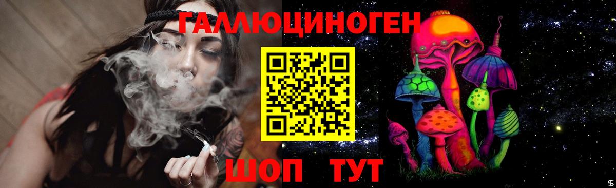 Галлюциногенные грибы GOLDEN TEACHER  наркотики  Шарыпово  Вход с VPN 